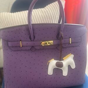 Purple Handbag